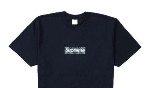 Supreme Bandana Box Logo Tee \